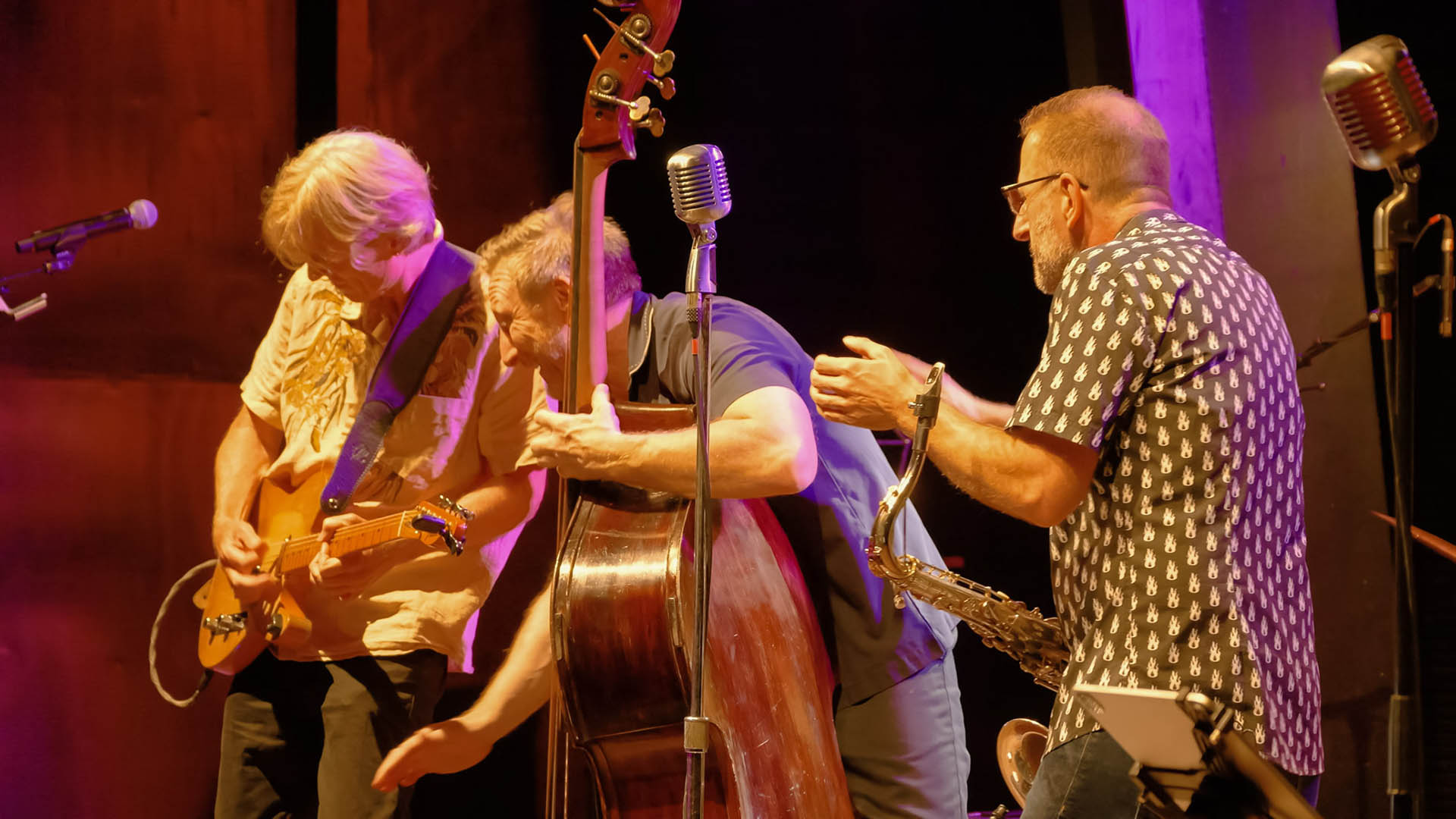 Die Rocking Cats lassen die 50er Jahre wieder auferstehen – Rock´n´Roll, Rockabilly, Boogie Woogie und Jump Blues.